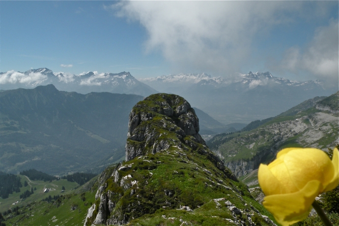 Vue depuis la tour de Famelon