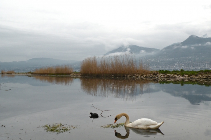 Les Grangettes