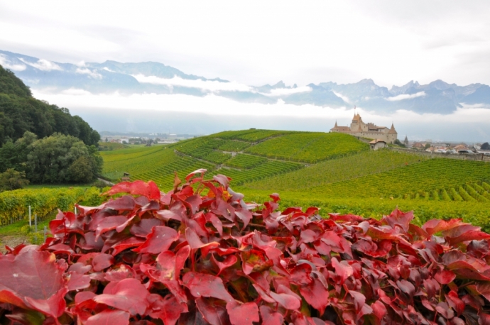 Ciel bas et gris sur le château d'Aigle 