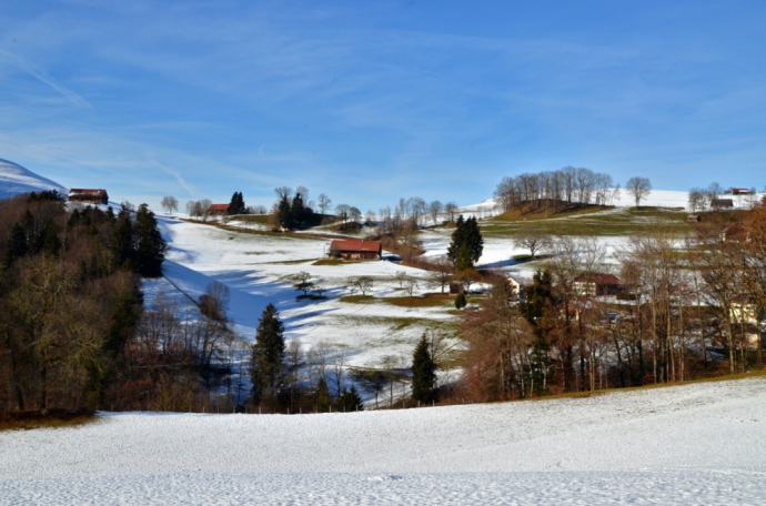 Soleil et douceur