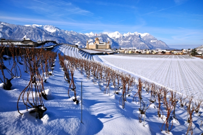 Château d'Aigle 