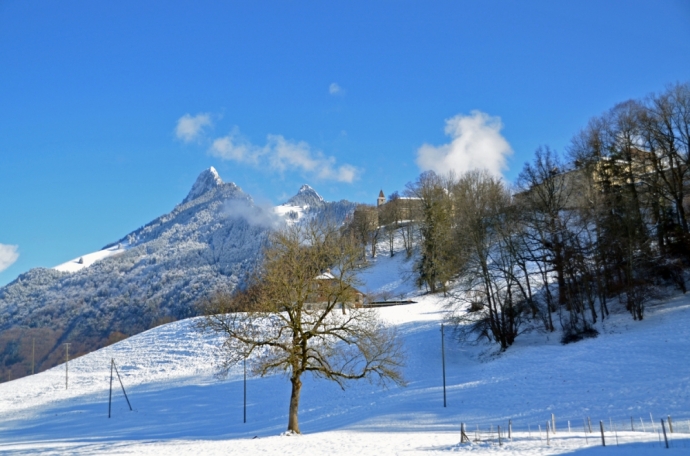 Soleil et neige fraîche