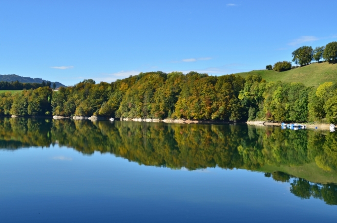 Reflets d'automne