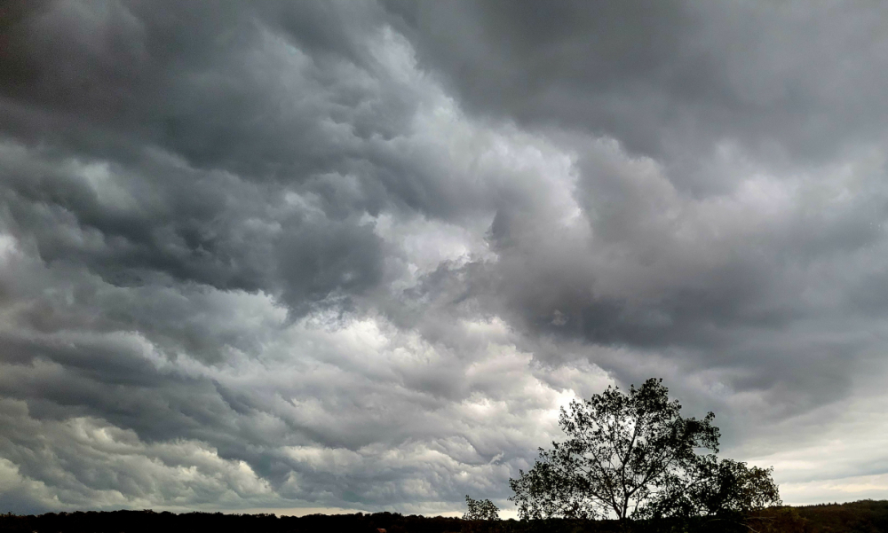 fin de journée agitée