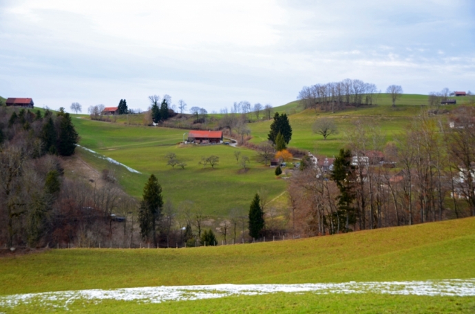 Retour du vert