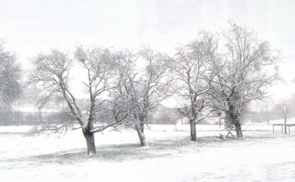 Aujourd'hui je reste à la maison