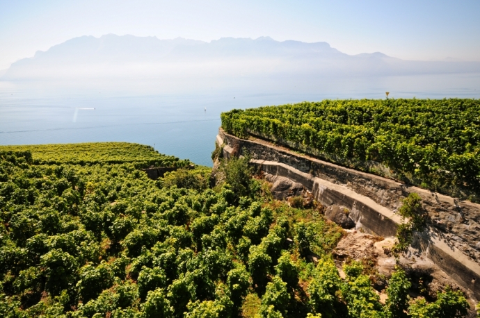 Ciel bleu sur le Léman