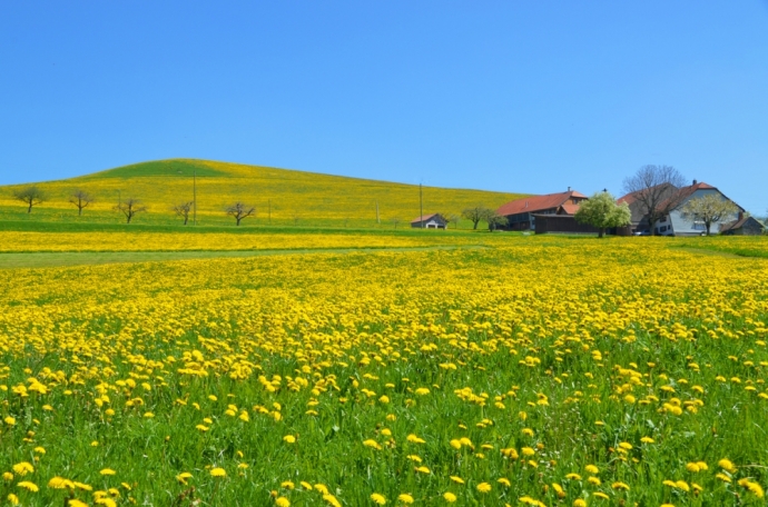 Le grand printemps