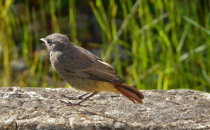 On profite de la chaleur