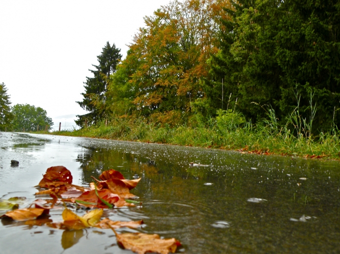 Premières pluies de l'automne