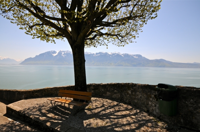 Le Léman  