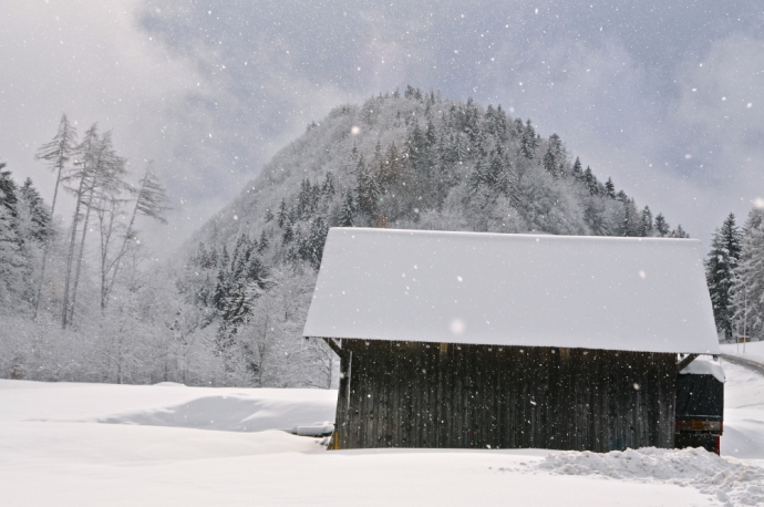 Retour de la neige 