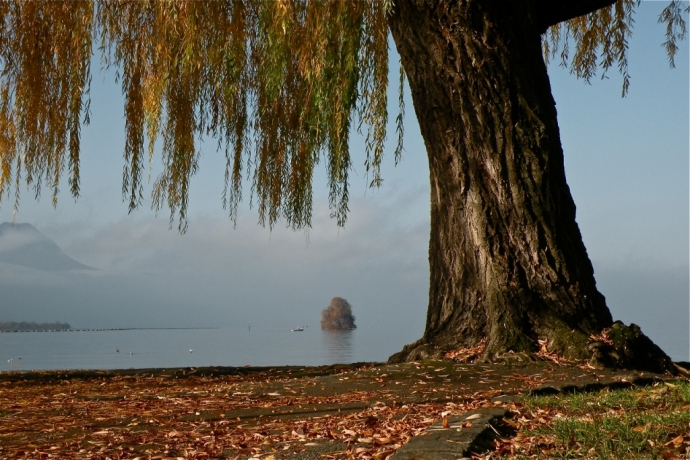 L'île de Peilz entre soleil et stratus