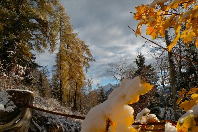 Eclaircies sur la neige fraîche