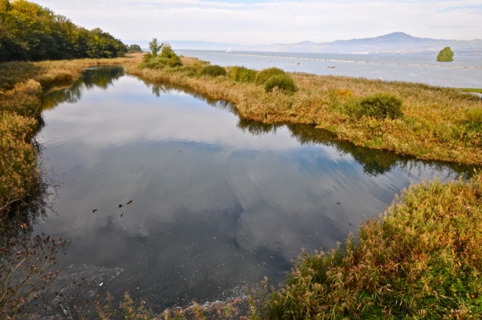 Reflet de nuages .