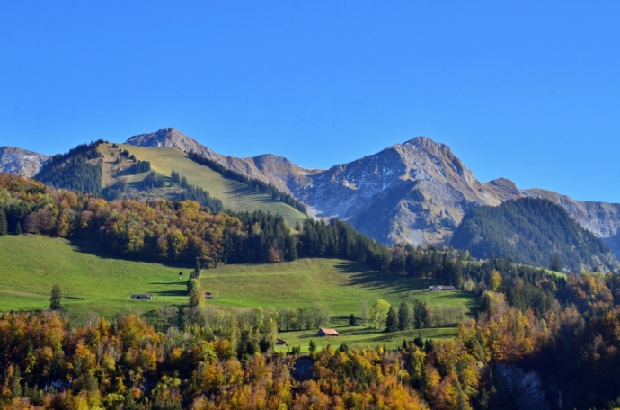 Toujours aussi beau