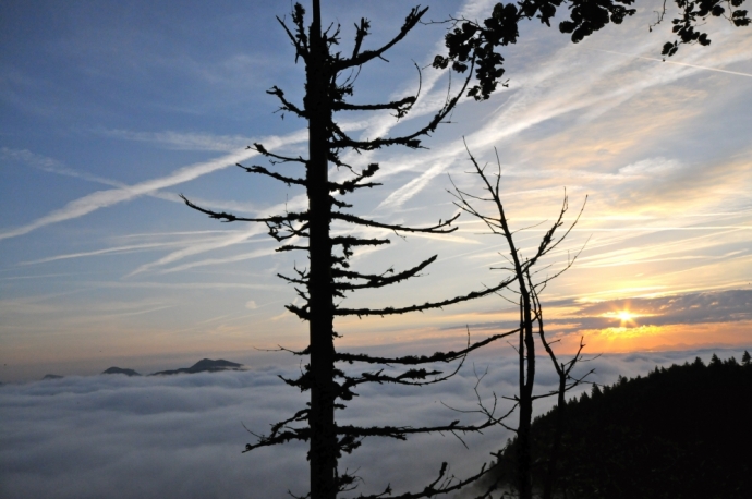 Un lever de soleil au-dessus du Mt D'Or ( Jura )