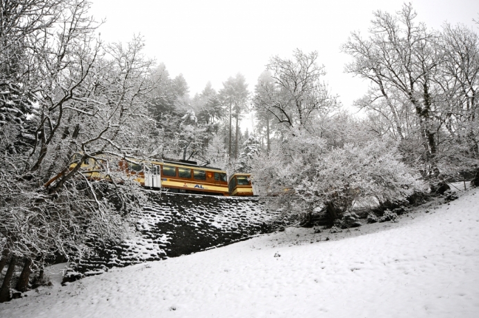 Retour de la neige 