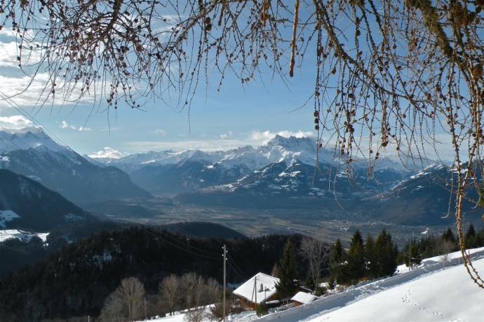 La plaine du Rhône