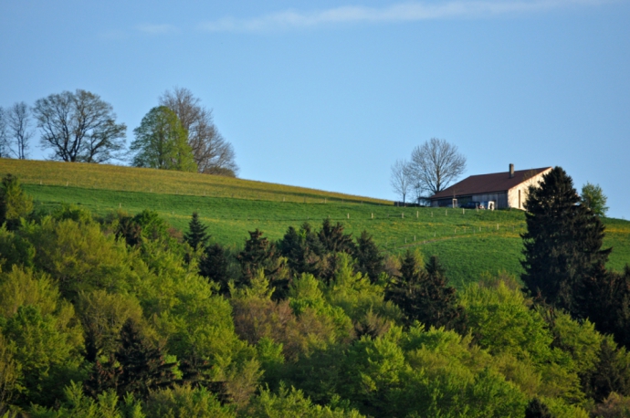 Nuances de vert