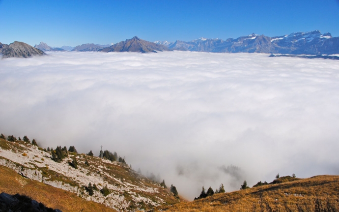 Startus sur le Chablais