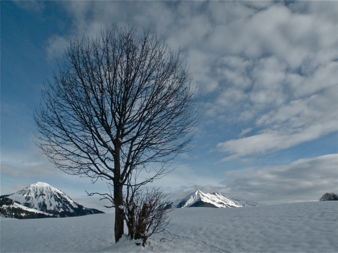 Retour de la neige en montagne