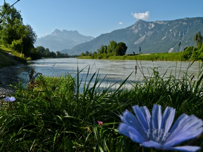 Le Rhône sous le soleil