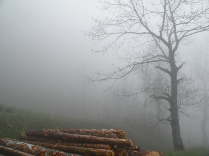 Brouillard à Leysin