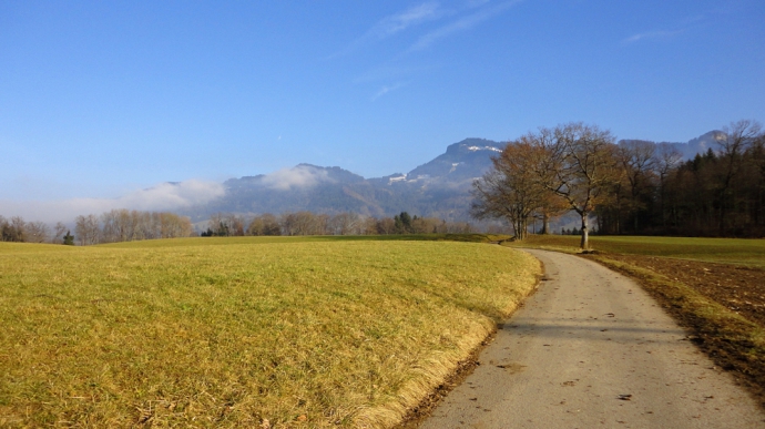 Dimanche au soleil