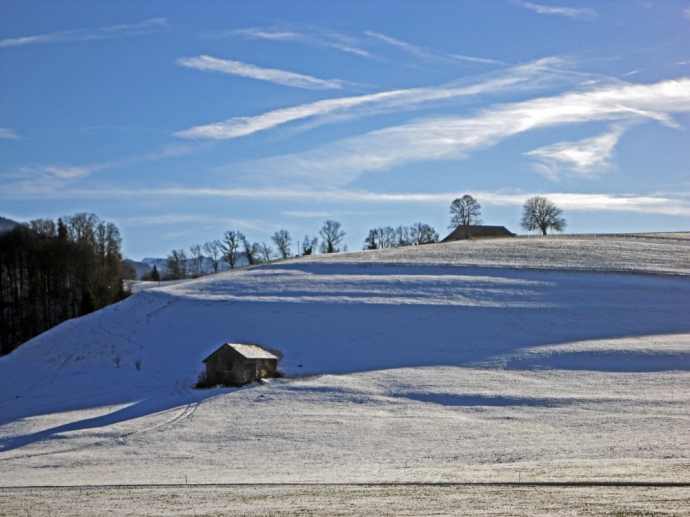 Dimanche après-midi