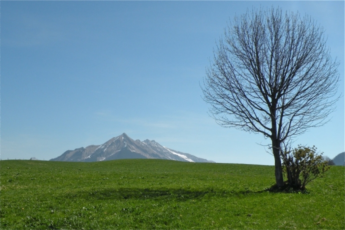 Ciel pur et ensoleillé