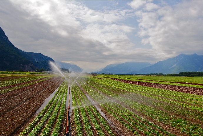 Manque d'eau pour les cultures