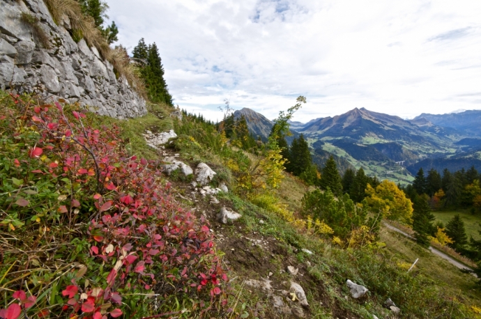 Couleurs d'automne sur les Préalpes Vaudoise .