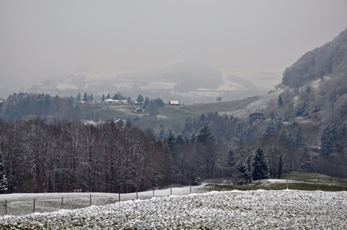 Gris et blanc