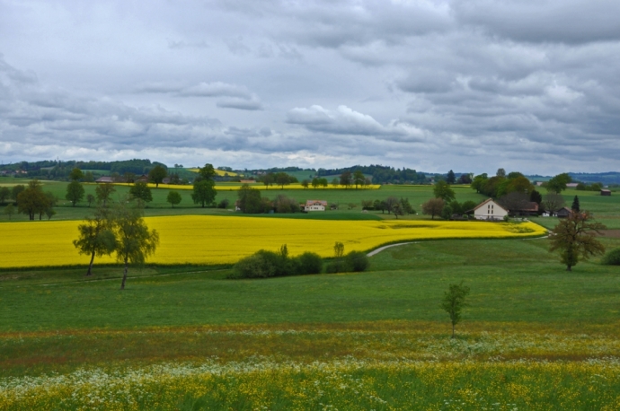 Couleurs sous le ciel gris