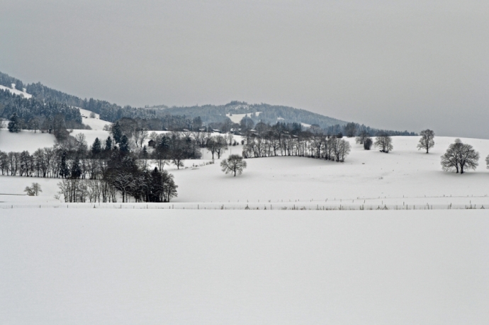 Blanc et gris